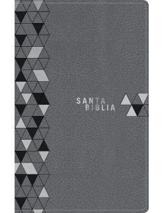 NTV - SANTA BIBLIA EDICION...