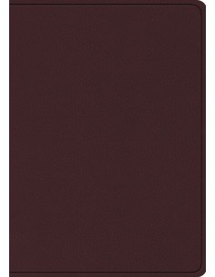 ESV - STUDY BIBLE LARGE PRINT