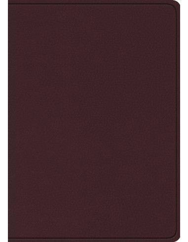 ESV - STUDY BIBLE LARGE PRINT