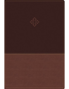 AMP - AMPLIFIED STUDY...