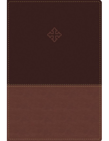AMP - AMPLIFIED STUDY BIBLE, THE
