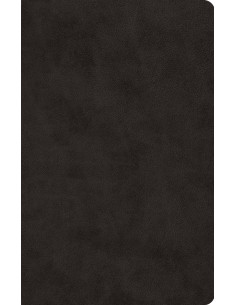 ESV - THINLINE BIBLE LARGE...