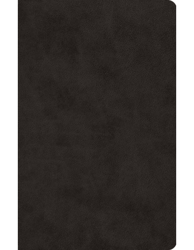 ESV - THINLINE BIBLE LARGE PRINT