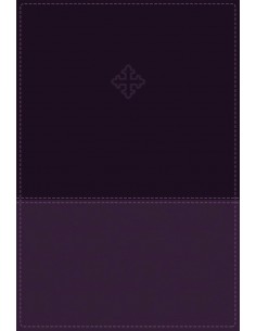 AMP - AMPLIFIED STUDY BIBLE...