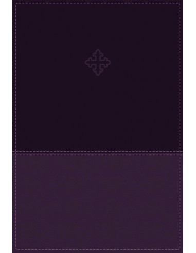 AMP - AMPLIFIED STUDY BIBLE - INDEX