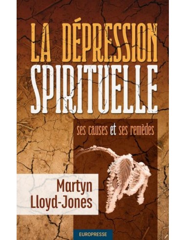 DEPRESSION SPIRITUELLE, LA CAUSES REMEDE
