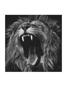 ROARING LION