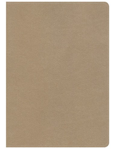 CSB - SHE READS TRUTH BIBLE