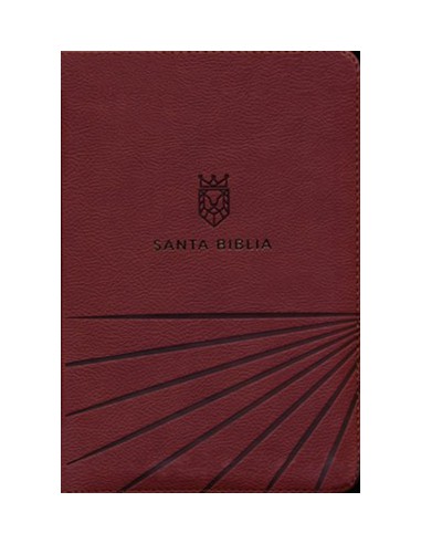 RVR60 - SANTA BIBLIA LETRA GRANDE