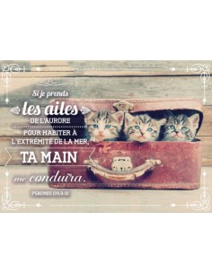 SI JE PRENDS LES AILES DE...