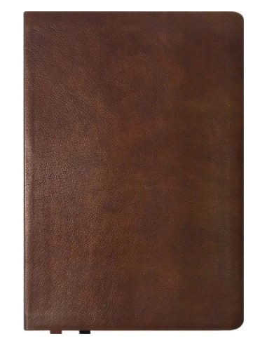 NASB2020 - TEXT BIBLE GIANT PRINT