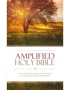 AMP - AMPLIFIED BIBLE