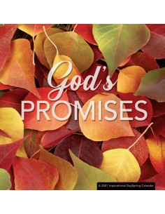 GOD'S PROMISES