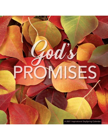 GOD'S PROMISES