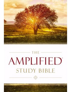 AMP - AMPLIFIED STUDY...
