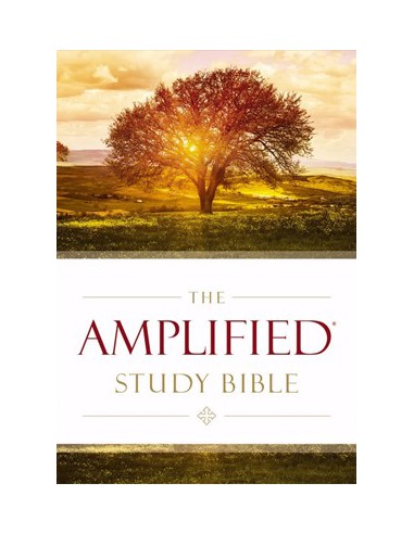AMP - AMPLIFIED STUDY BIBLE, THE