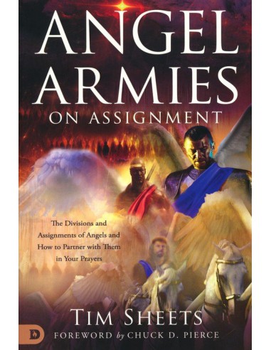 ANGEL ARMIES ON ASSIGNMENT