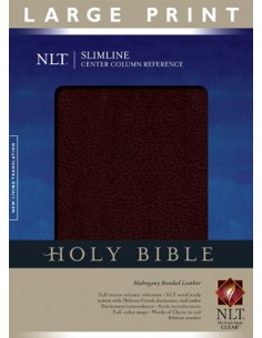 NLT - SLIMLINE BIBLE -...