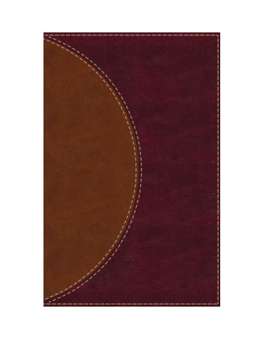 AMP - AMPLIFIED READING BIBLE